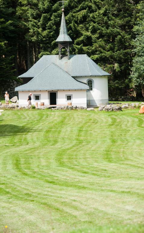 Hotel Les Buttes Ventron Buitenkant foto