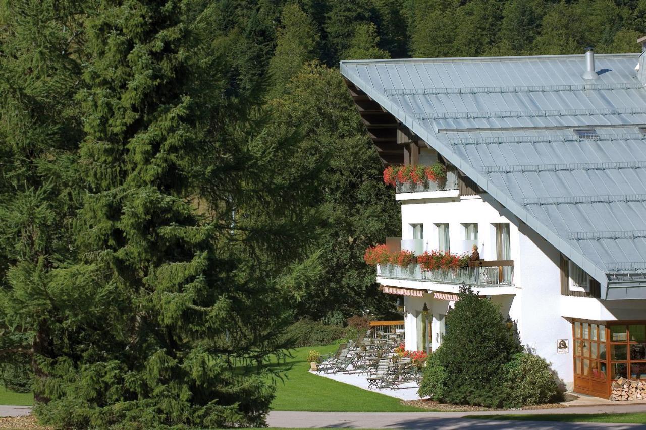 Hotel Les Buttes Ventron Buitenkant foto